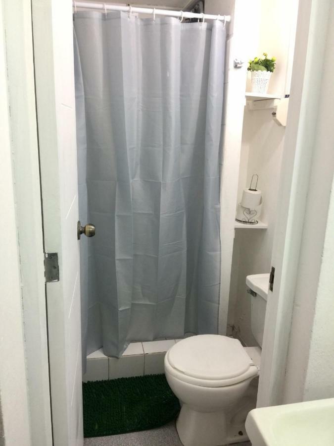 Friendly House Libertad Premium *